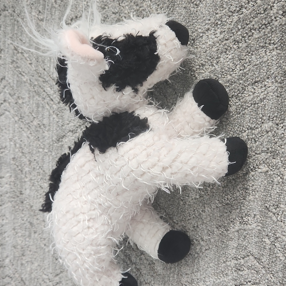Tilamook Cow - Picture 4 of 6